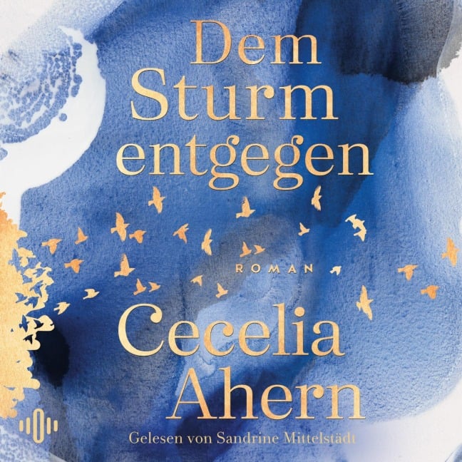 Dem Sturm entgegen - Cecelia Ahern