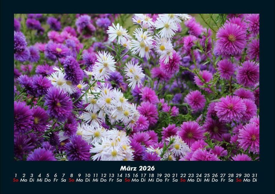 InsideView 7