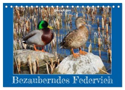 Cover-Bild zum Titel 'Bezauberndes Federvieh (Tischkalender 2026 DIN A5 quer), CALVENDO Monatskalender' von 'Gisela Kruse'