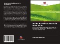 Cover-Bild zum Titel 'Structure génétique de la population' von 'Lourenço Zacarias'