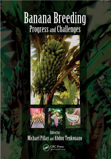 Banana Breeding - 