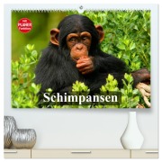 Cover-Bild zum Titel 'Schimpansen (hochwertiger Premium Wandkalender 2026 DIN A2 quer), Kunstdruck in Hochglanz' von 'Elisabeth Stanzer'