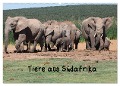 Tiere aus Südafrika (Wandkalender 2025 DIN A2 quer), CALVENDO Monatskalender - W. Brüchle