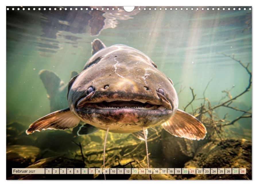 InsideView 7