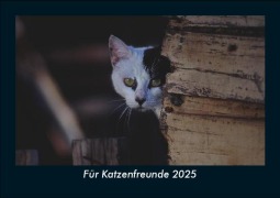 Cover-Bild zum Titel 'Für Katzenfreunde 2025 Fotokalender DIN A5' von 'Tobias Becker'