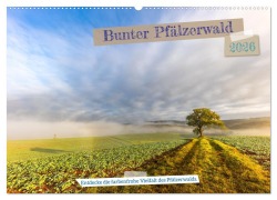 Cover-Bild zum Titel 'Bunter Pfälzerwald (Wandkalender 2026 DIN A2 quer), CALVENDO Monatskalender' von 'Momentfänger Patricia Flatow'
