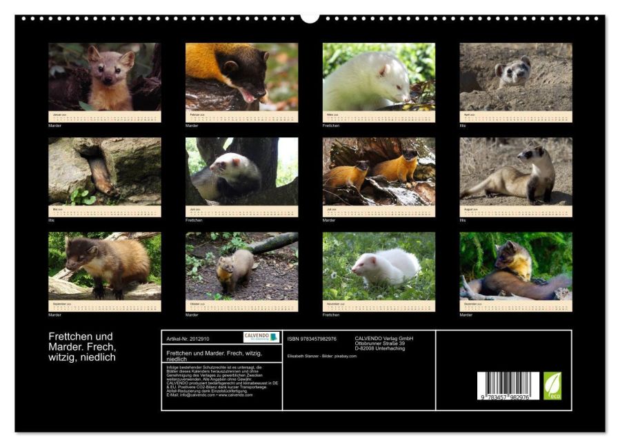 InsideView 4