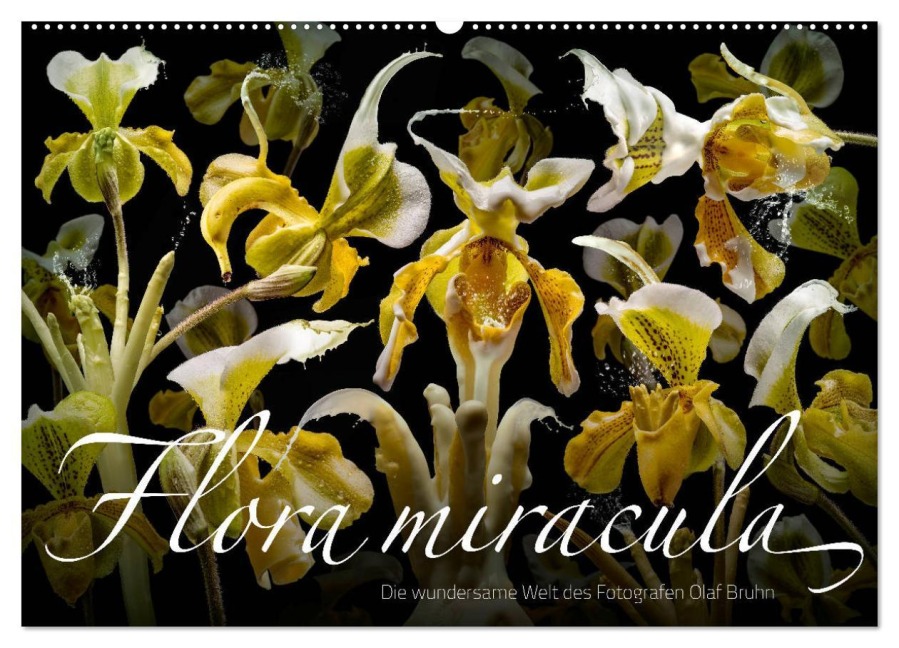 Flora miracula - Die wundersame Welt des Fotografen Olaf Bruhn (Wandkalender 2026 DIN A2 quer), CALVENDO Monatskalender - Olaf Bruhn
