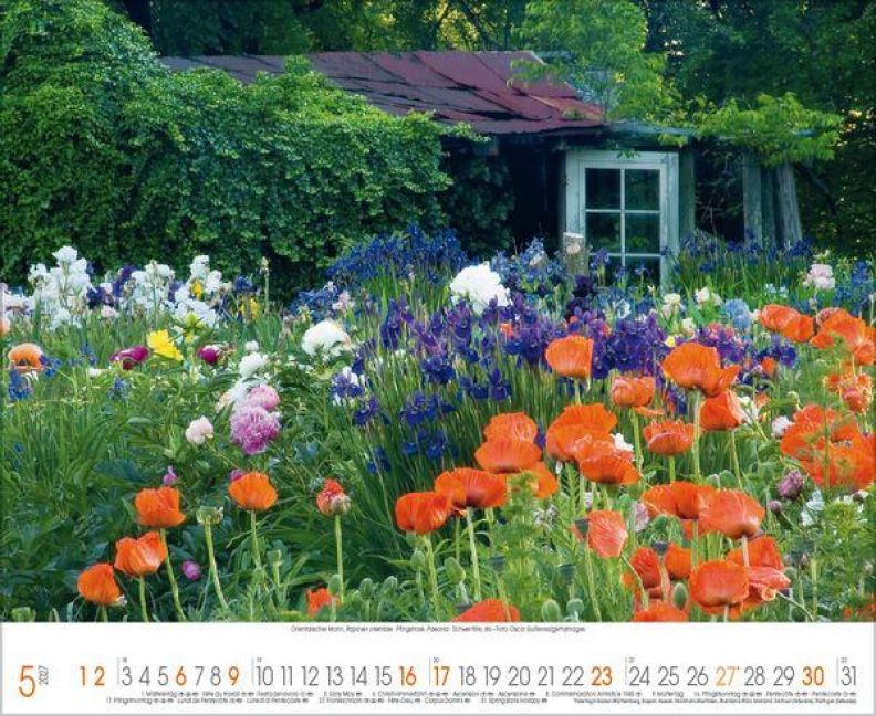 InsideView 5