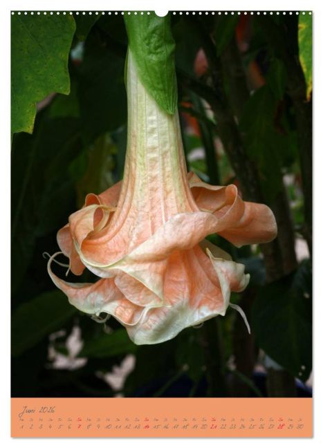 InsideView 11