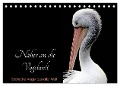 Näher an die Vogelwelt - Exotische Vögel aus aller Welt (Tischkalender 2024 DIN A5 quer), CALVENDO Monatskalender - Card-Photo Www. Card-Photo. Com