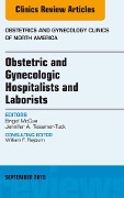 Cover-Bild zum Titel 'Obstetric and Gynecologic Hospitalists and Laborists, An Issue of Obstetrics and Gynecology Clinics' von 'Brigid Mccue'