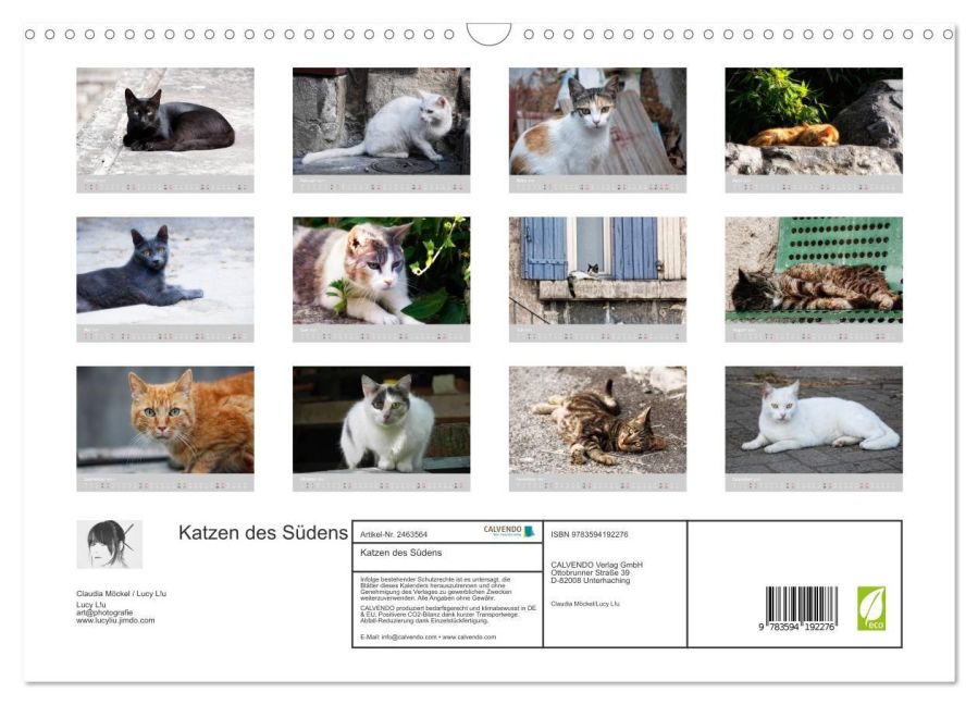 InsideView 5