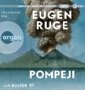 Cover-Bild zum Titel 'Pompeji oder Die fünf Reden des Jowna' von 'Eugen Ruge'