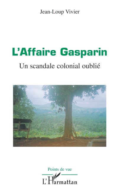 L'Affaire Gasparin - Jean-Loup Vivier