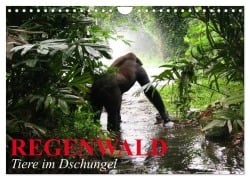 Cover-Bild zum Titel 'Regenwald ¿ Tiere im Dschungel (Wandkalender 2026 DIN A4 quer), CALVENDO Monatskalender' von 'Elisabeth Stanzer'