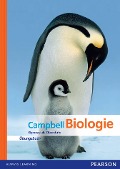 Biologie Oberstufe Übungsbuch - Neil A. Campbell, Jane B. Reece