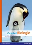 Biologie Oberstufe Übungsbuch - Neil A. Campbell, Jane B. Reece