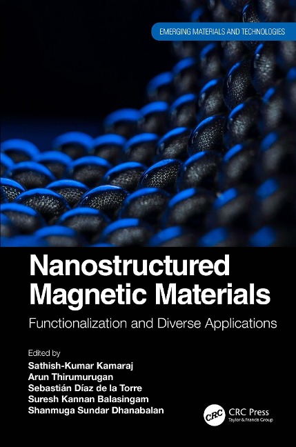 Nanostructured Magnetic Materials - 