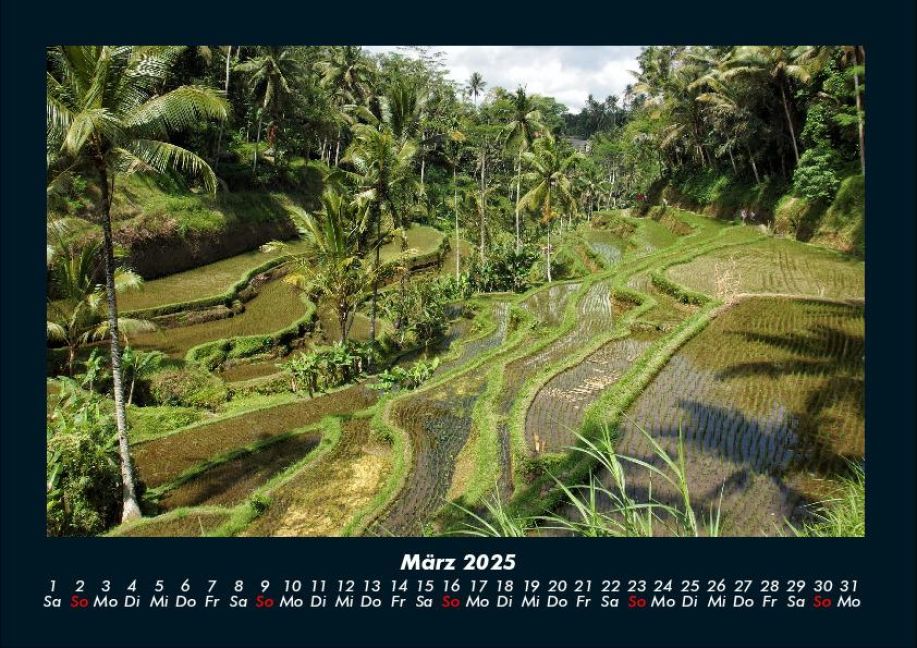 InsideView 7