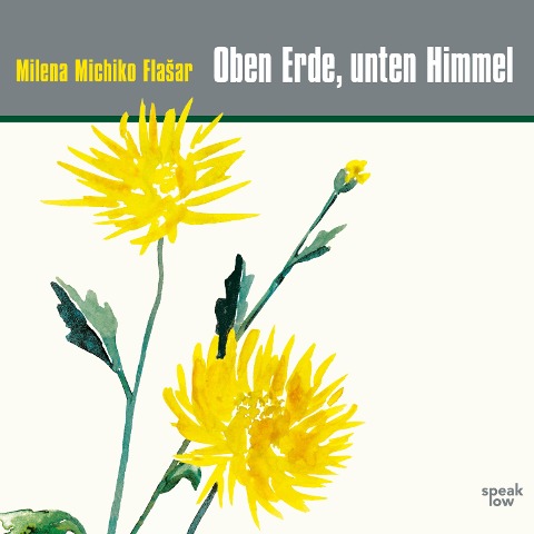 Oben Erde, unten Himmel - Milena Michiko Fla?ar