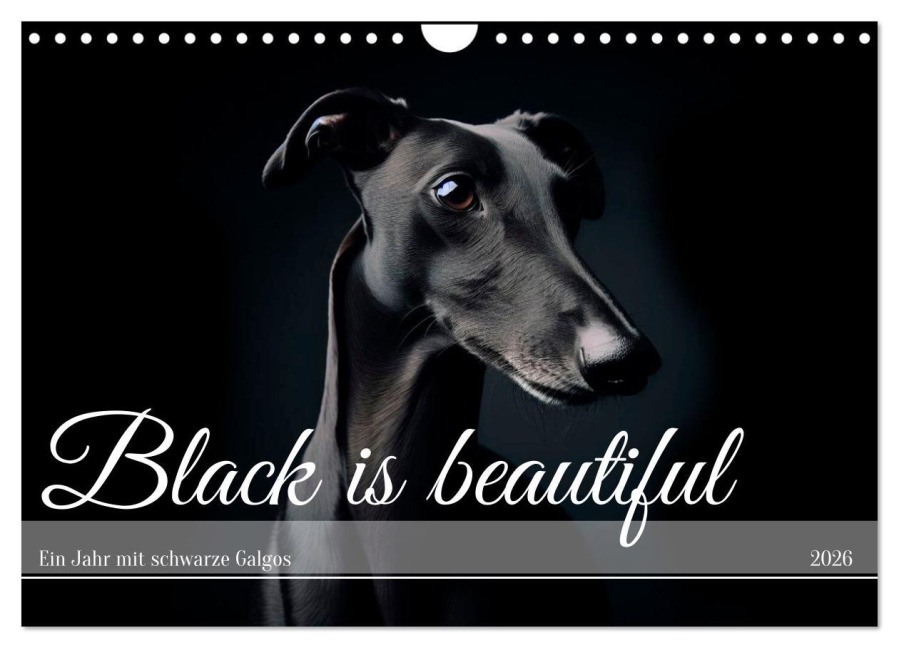 Black is beautiful (Wandkalender 2026 DIN A4 quer), CALVENDO Monatskalender - Andrea Redecker