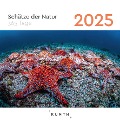 Schätze der Natur - KUNTH 365-Tage-Abreißkalender 2025 - 