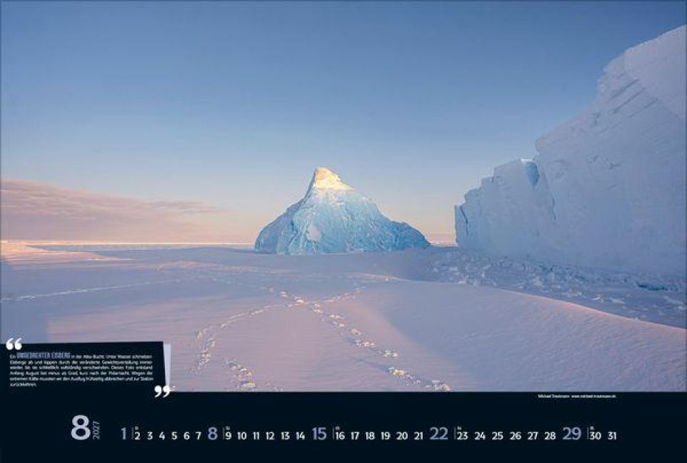 InsideView 8