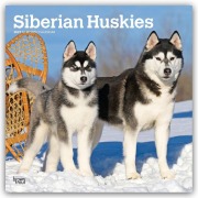 Cover-Bild zum Titel 'Siberian Huskies - Siberian Husky 2027 - 16-Monatskalender' von 'Browntrout Publishers'