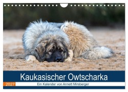 Cover-Bild zum Titel 'Kaukasischer Owtscharka (Wandkalender 2027 DIN A4 quer), CALVENDO Monatskalender' von 'Annett Mirsberger'