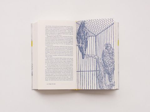 InsideView 4