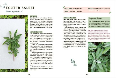 InsideView 3