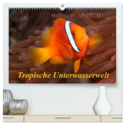 Cover-Bild zum Titel 'Tropische Unterwasserwelt (hochwertiger Premium Wandkalender 2026 DIN A2 quer), Kunstdruck in Hochglanz' von 'Martin Rauchenwald'