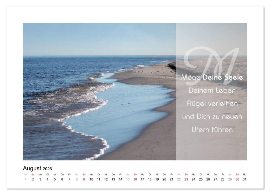 InsideView 13
