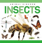 Cover-Bild zum Titel 'Insects' von 'Rebecca Phillips-Bartlett'