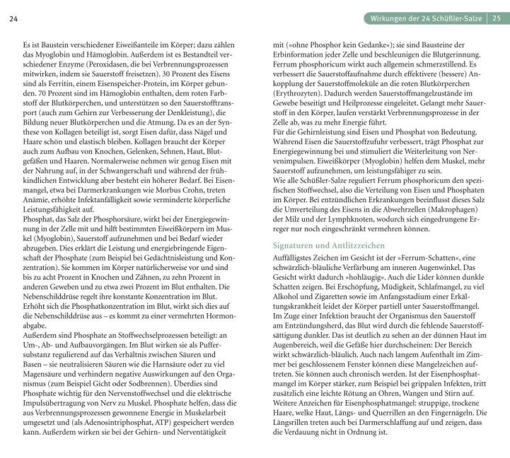 InsideView 5