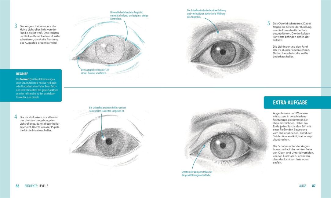 InsideView 7