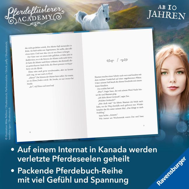 InsideView 2