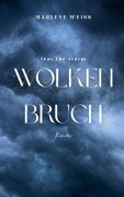 Cover-Bild zum Titel 'Wolkenbruch' von 'Marlene Weiß'