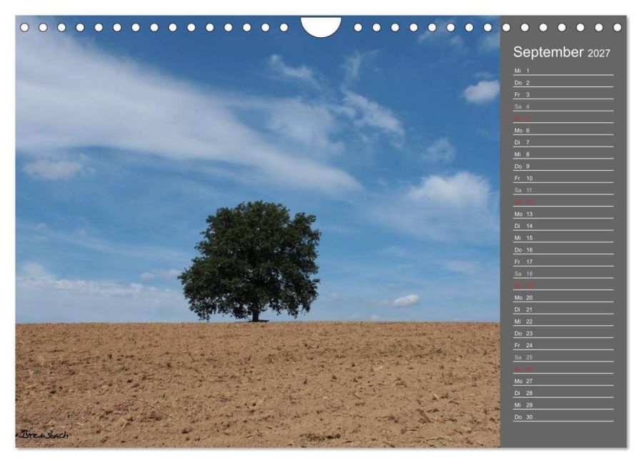 InsideView 14