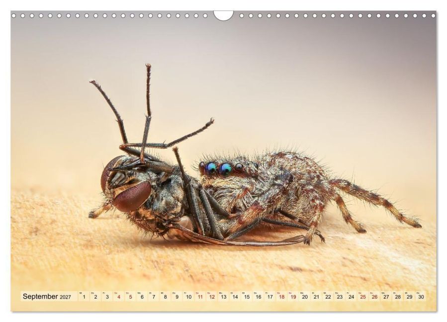 InsideView 14
