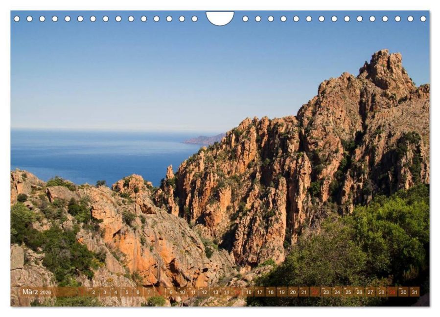 InsideView 8