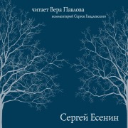 Cover-Bild zum Titel 'Stihi Esenina' von 'Sergey Esenin'
