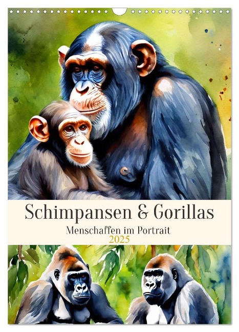 Schimpansen & Gorillas (Wandkalender 2025 DIN A3 hoch), CALVENDO Monatskalender - Claudia Kleemann