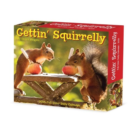 Gettin' Squirrelly 2025 6.2 X 5.4 Box Calendar - 