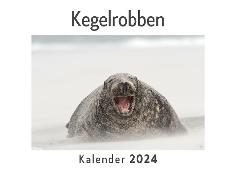 Kegelrobben (Wandkalender 2024, Kalender DIN A4 quer, Monatskalender im Querformat mit Kalendarium, Das perfekte Geschenk) - Anna Müller
