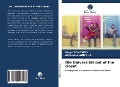 Cover-Bild zum Titel 'Die Universität out of the closet' von 'Diego Tomasino, Alejandro Lanuque'