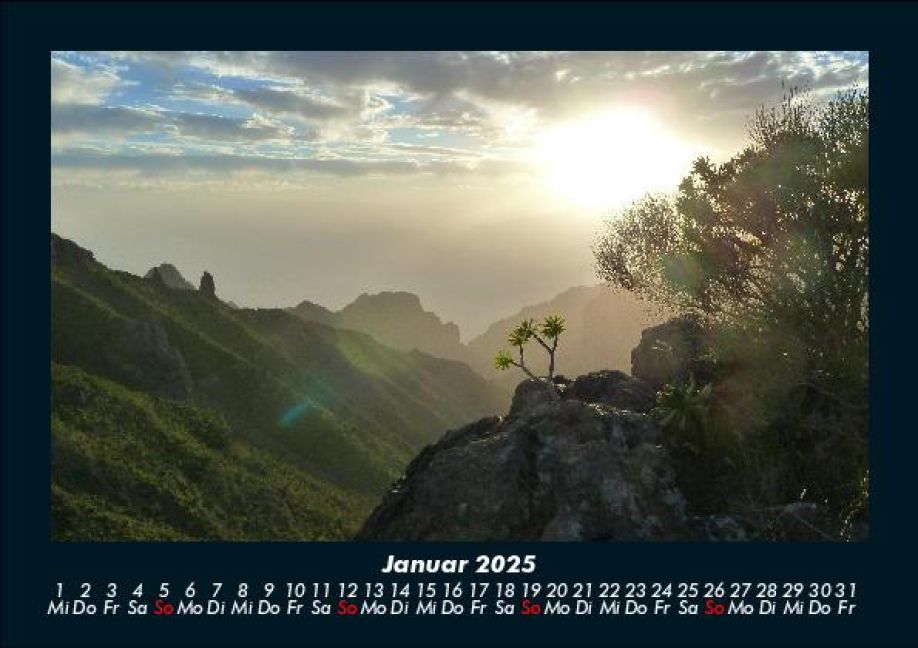InsideView 5