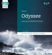 Cover-Bild zum Titel 'Odyssee' von 'Homer'