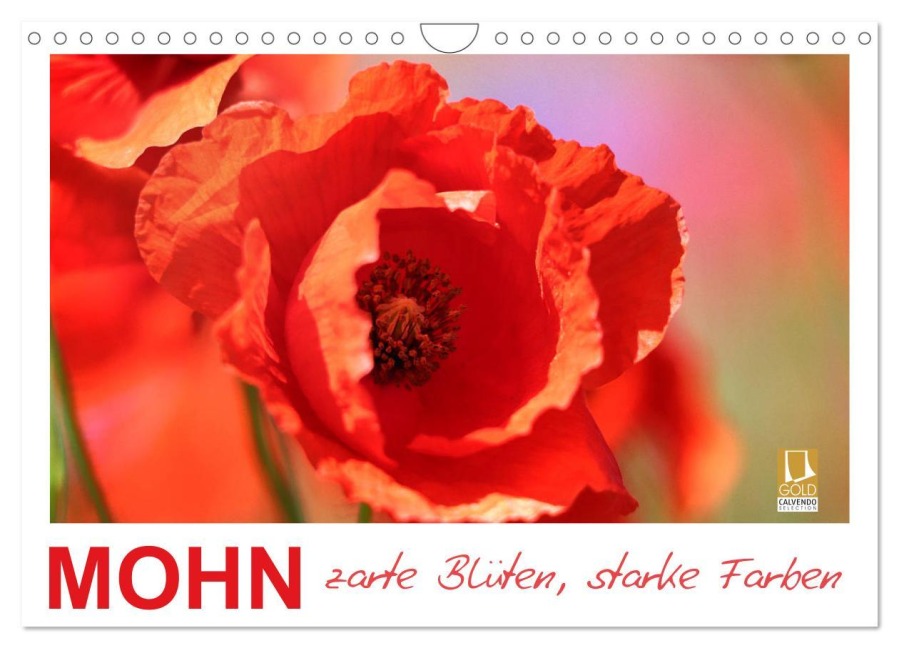 Mohn, zarte Blüten, starke Farben (Wandkalender 2026 DIN A4 quer), CALVENDO Monatskalender - Sabine Löwer